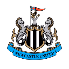 Logo Newcastle